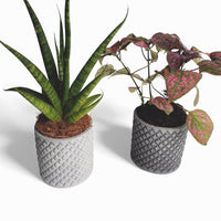 Tuska concrete flower pot Ø 8 cm with felt feet — Ansicht 2