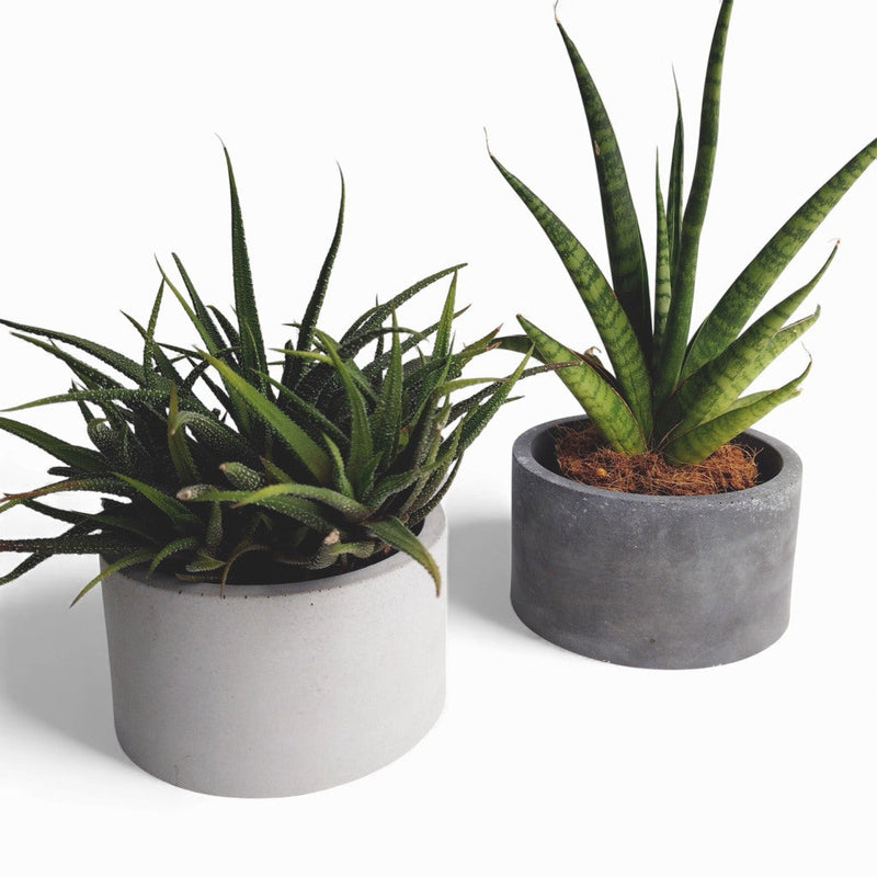 Kukki Concrete Flower Pot Ø 11 cm with Felt Feet — Ansicht 2