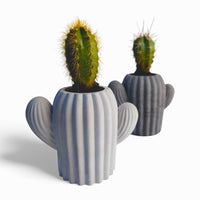 Cactu Kaktus aus Beton mit Filzfüßen | Handworkz — Ansicht 2