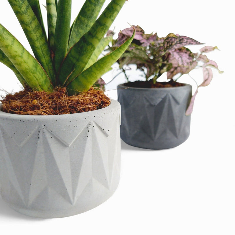 Vazona Concrete Plant Pot Ø 10 cm with Felt Pads — Ansicht 3