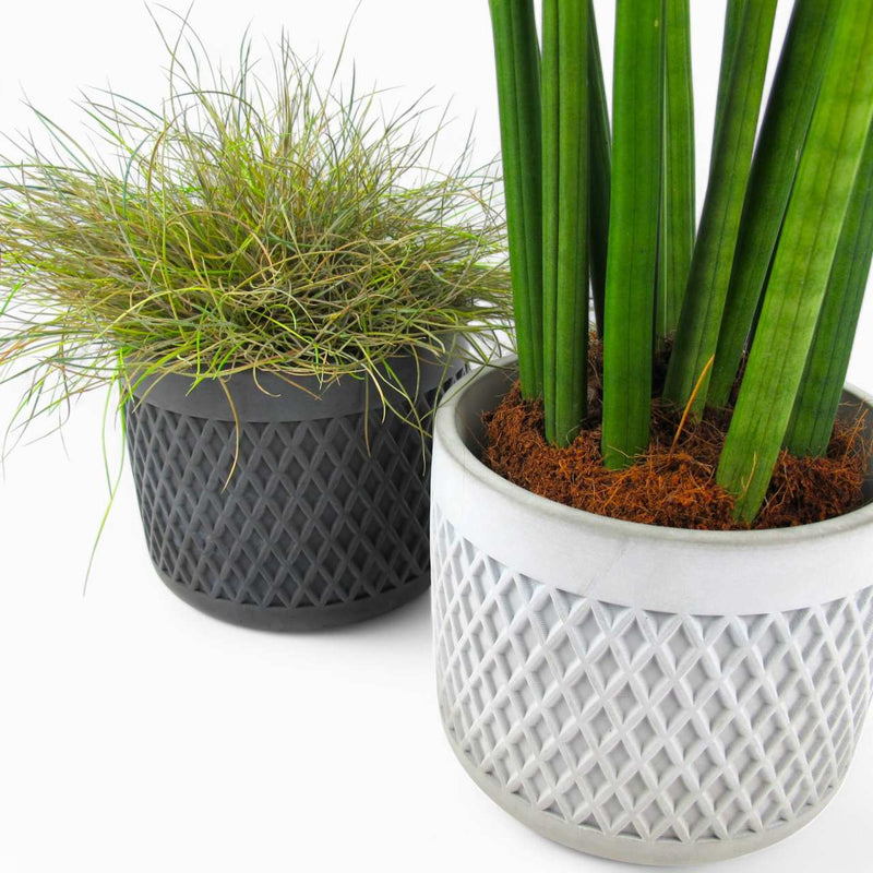 Tuvag Blumentopf Ø 14 cm aus Beton – Handgefertigt — Ansicht 3