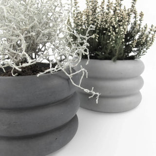 Flori | Blumentopf Ø10cm aus Beton – Robust | Wasserdicht | Vielseitig
