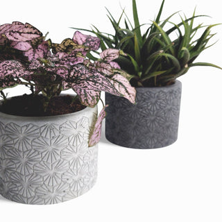 Tikko – Blumentopf aus Beton | Ø 10 cm | Filzfüße