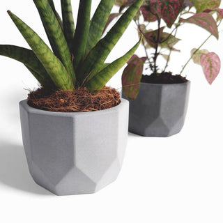 Dilnik – Blumentopf aus Beton | Ø 10 cm | Filzfüße