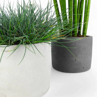 Maceta | Blumentopf Ø15cm aus Beton – Minimalistisch | Robust | Vielseitig