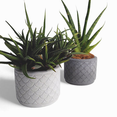 Zoppy Blumentopf aus Beton Ø 10 cm mit Filzfüßen