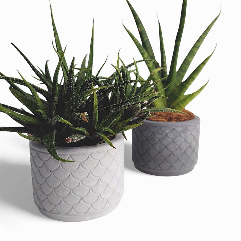 Zoppy Blumentopf aus Beton Ø 10 cm mit Filzfüßen — Ansicht 3