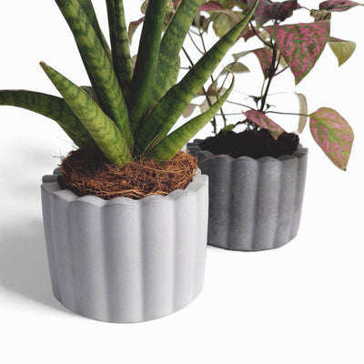 Zarka Blumentopf aus Beton Ø 10 cm mit Filzfüßen