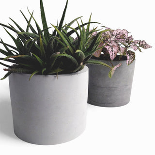 Kvety – Blumentopf aus Beton | Ø 12 cm | Filzfüße