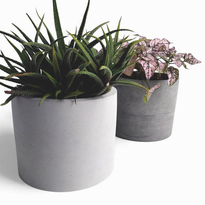 Kvety Concrete Flower Pot Ø 12 cm with Felt Feet