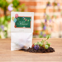 5 flower seed marbles for school enrollment "You are 1st class" - Wildflower seeds — Ansicht 1