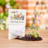 5 flower seed balls in a pouch for school enrollment "Hooray Hooray!" - Wildflower Seeds — Ansicht 1