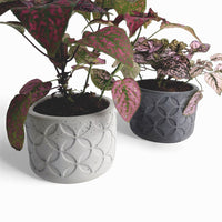 Olla Blumentopf aus Beton Ø 10 cm mit Filzfüßen — Ansicht 3