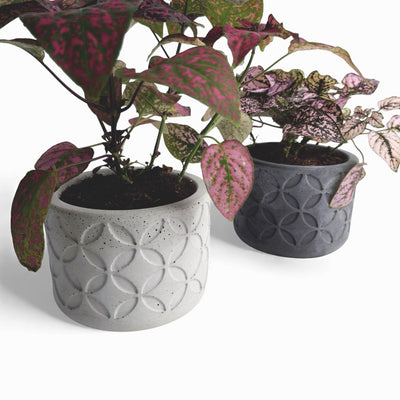 Olla Blumentopf aus Beton Ø 10 cm mit Filzfüßen