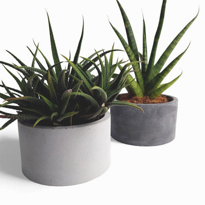 Kukki Concrete Flower Pot Ø 11 cm with Felt Feet