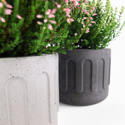 Tinn Plant Pot Ø10cm Concrete – Minimalist & Robust