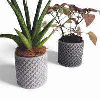 Tuska concrete flower pot Ø 8 cm with felt feet — Ansicht 3