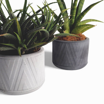 Puodas Blumentopf aus Beton Ø 10 cm mit Filzfüßen