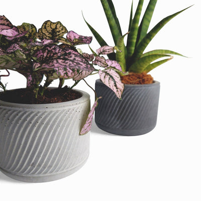 Sukuri Blumentopf aus Beton Ø 10 cm mit Filzfüßen