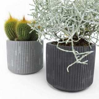 Jakko | Sukkulenten Topf aus Beton – Modern | Langlebig | Handgefertigt