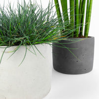 Concrete Planter Ø15cm – Minimalist, robust, versatile — Ansicht 3