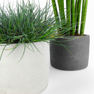 Maceta | Blumentopf Ø15cm aus Beton – Minimalistisch | Robust | Vielseitig