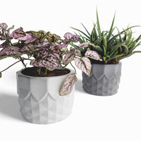 Pinafal Blumentopf aus Beton Ananas-Form Ø 10 cm — Ansicht 3