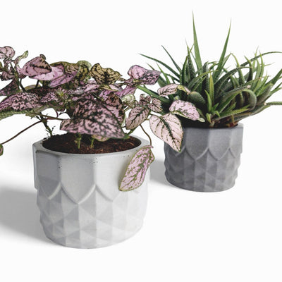 Pinafal Blumentopf aus Beton Ananas-Form Ø 10 cm