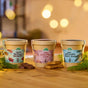 Festive Seed Growing Kit – 3 Christmas Varieties from Die Stadtgärtner