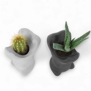 Hippo | Flusspferd aus Beton – Verspielt | Robust | Dekorativ