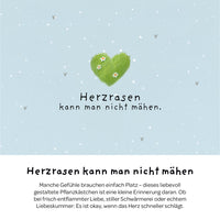 Pflanzkästchen Herzrasen – Weidelgras-Set mit Hanfmatte — Ansicht 3