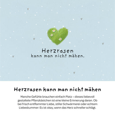 Pflanzkästchen Herzrasen – Weidelgras-Set mit Hanfmatte