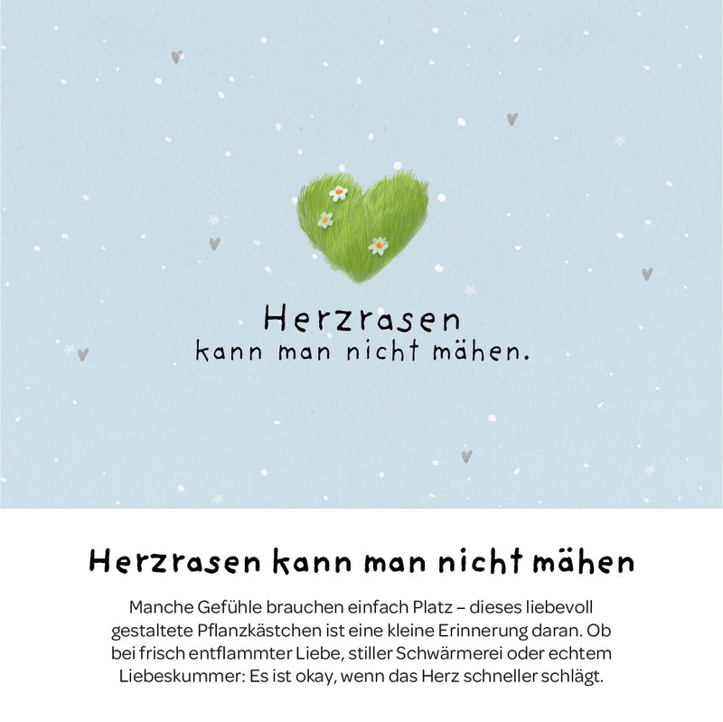 Pflanzkästchen Herzrasen – Weidelgras-Set mit Hanfmatte — Ansicht 3