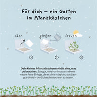 Pflanzkästchen Herzrasen – Weidelgras-Set mit Hanfmatte — Ansicht 4
