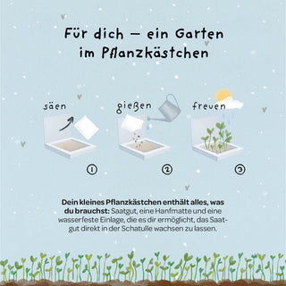 Pflanzkästchen - Herzrasen