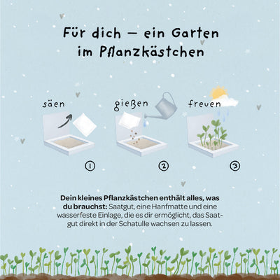 Pflanzkästchen Herzrasen – Weidelgras-Set mit Hanfmatte