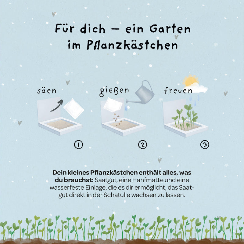 Pflanzkästchen Herzrasen – Weidelgras-Set mit Hanfmatte — Ansicht 4