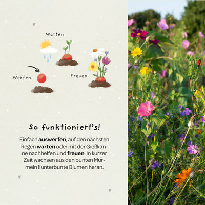 5 flower marbles in a bag for school enrollment 