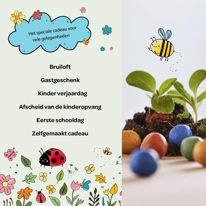 Bloemenknikkers – Handmade Seed Bombs with Natural Dyes — Ansicht 4