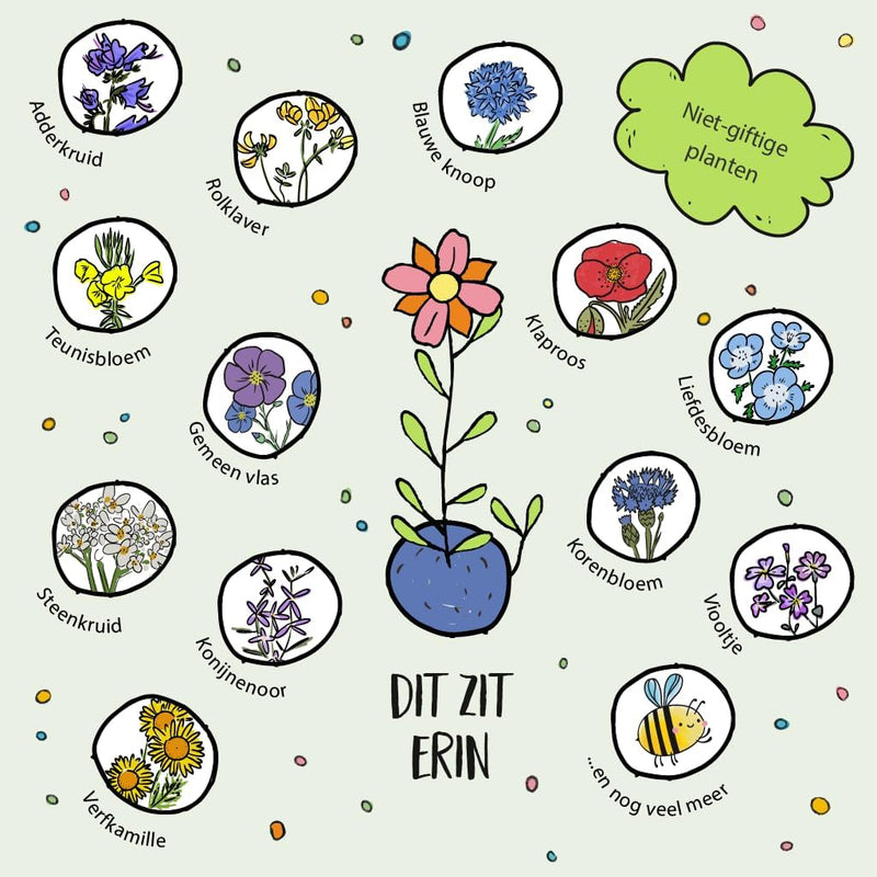 Flower Marbles Party Favor - Set of 10 Seed Bombs — Ansicht 4
