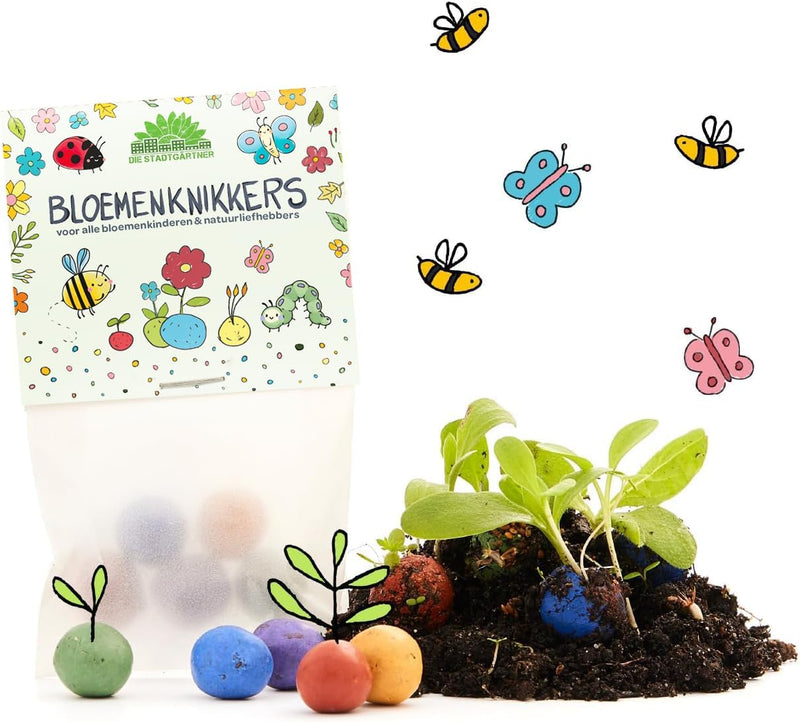 Flower Marbles Party Favor - Set of 10 Seed Bombs — Die Stadtgärtner
