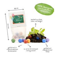 5 flower seed marbles for school enrollment "You are 1st class" - Wildflower seeds — Ansicht 4