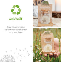 Wish Granter – Handmade Wish Jar with over 100 Wishes — Ansicht 4