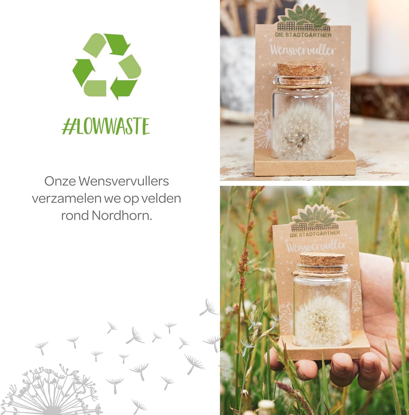 Wish Granter – Handmade Wish Jar with over 100 Wishes — Ansicht 4