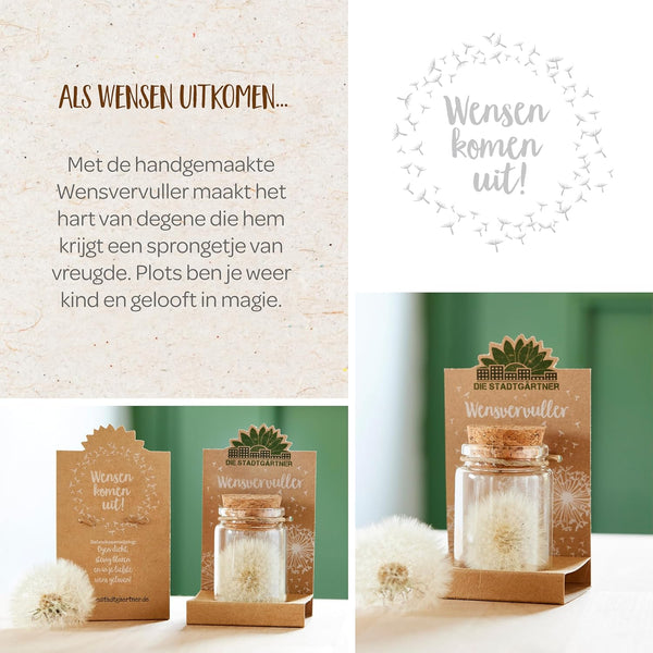 Wish Granter – Handmade Wish Jar with over 100 Wishes
