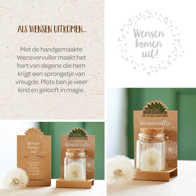 Wish Granter – Handmade Wish Jar with over 100 Wishes — Ansicht 2
