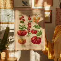 Tomatoes Chart – Fine Art Print | UV-resistant | Botanical Poster — Ansicht 2