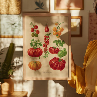 Tomatoes Chart – Fine Art Print | UV-beständig | Botanisches Poster