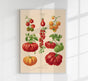 Tomatoes Chart – Fine Art Print | UV-resistant | Botanical Poster
