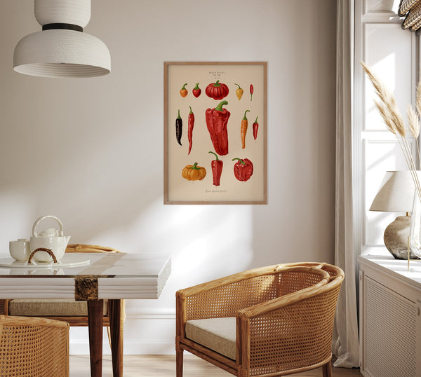 Chili and Peppers Chart Botanical Poster – Fine Art Print
